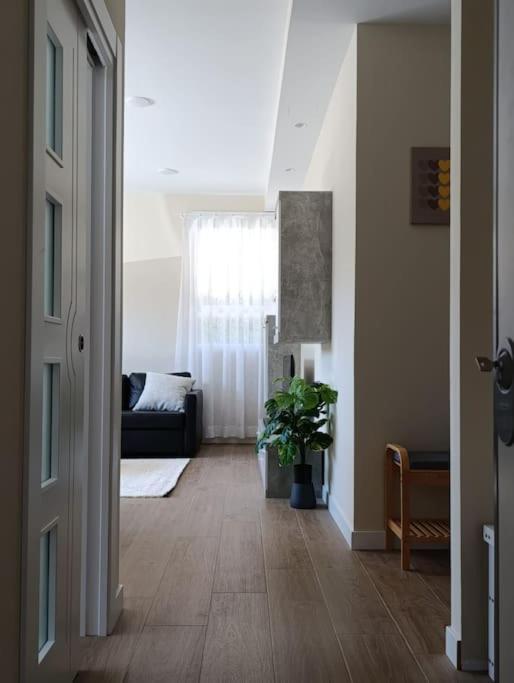 Amplio Y Tranquilo Apartamento Casa サラマンカ エクステリア 写真