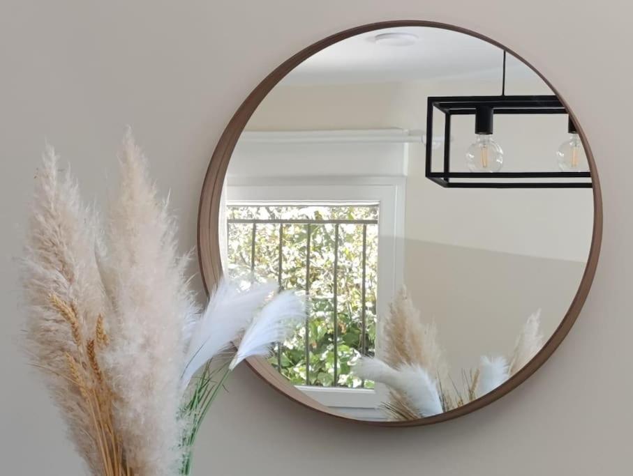 Amplio Y Tranquilo Apartamento Casa サラマンカ エクステリア 写真